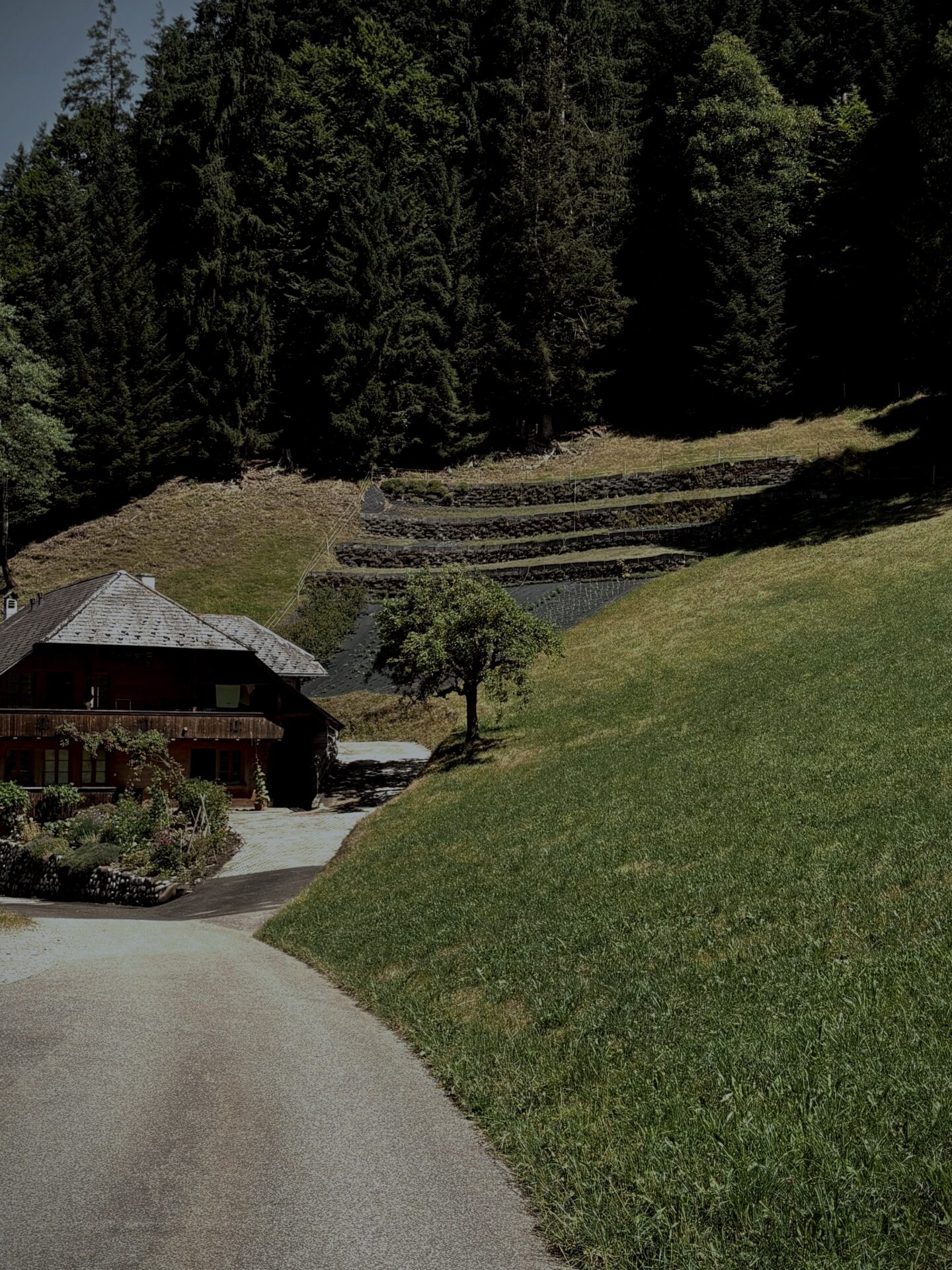Kräuteranbau_Emmental_Landschaft